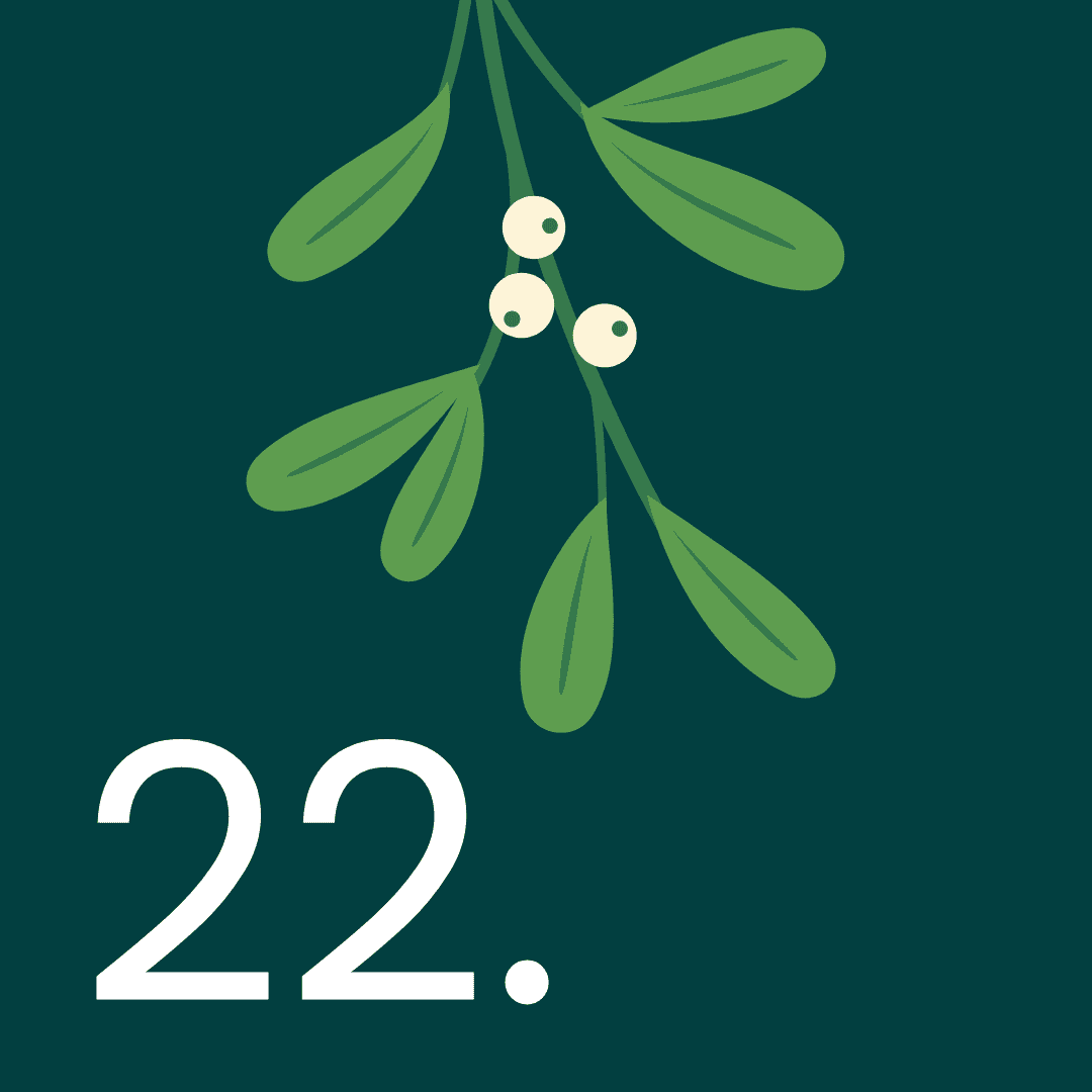 2024 - Advent - Day 22 - Hollie 2024 - Advent - Day 22 - Hollie