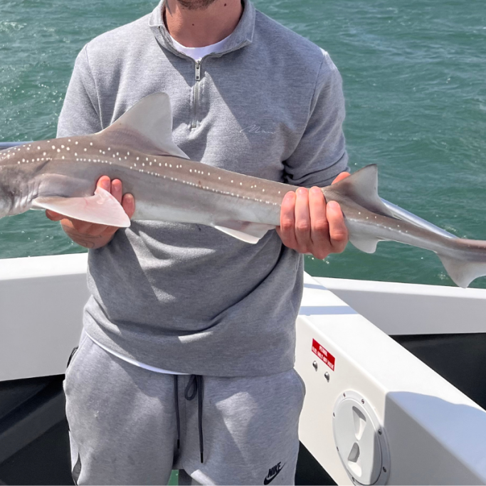 Untitled design - 2023-08-30T152222.843 Untitled design - 2023-08-30T152222.843